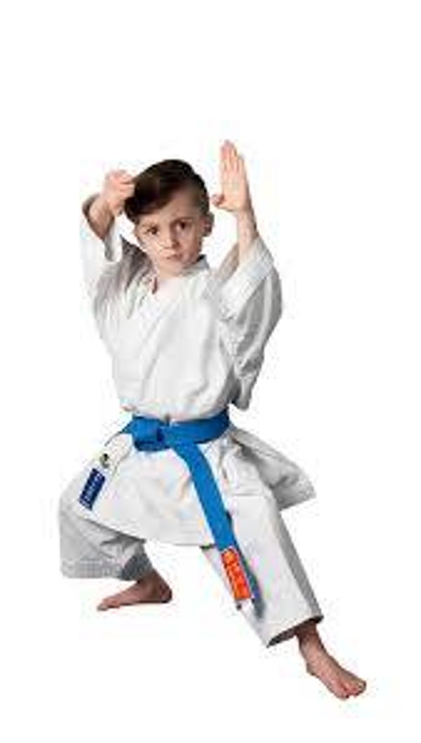 Hayashi >REIKON< Kata Karate-Gi