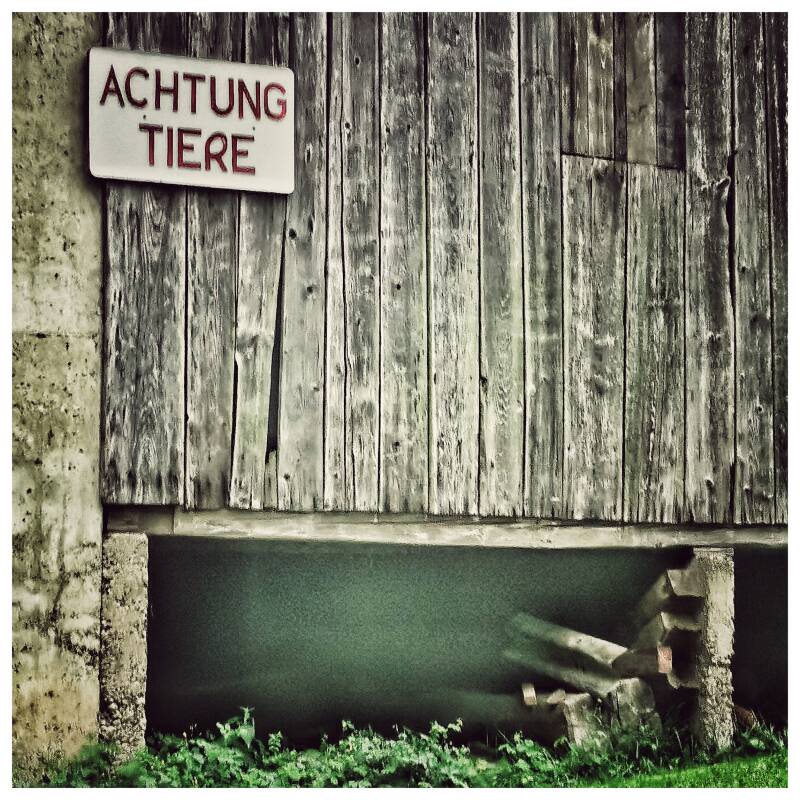 achtung-tiere-standard.jpg