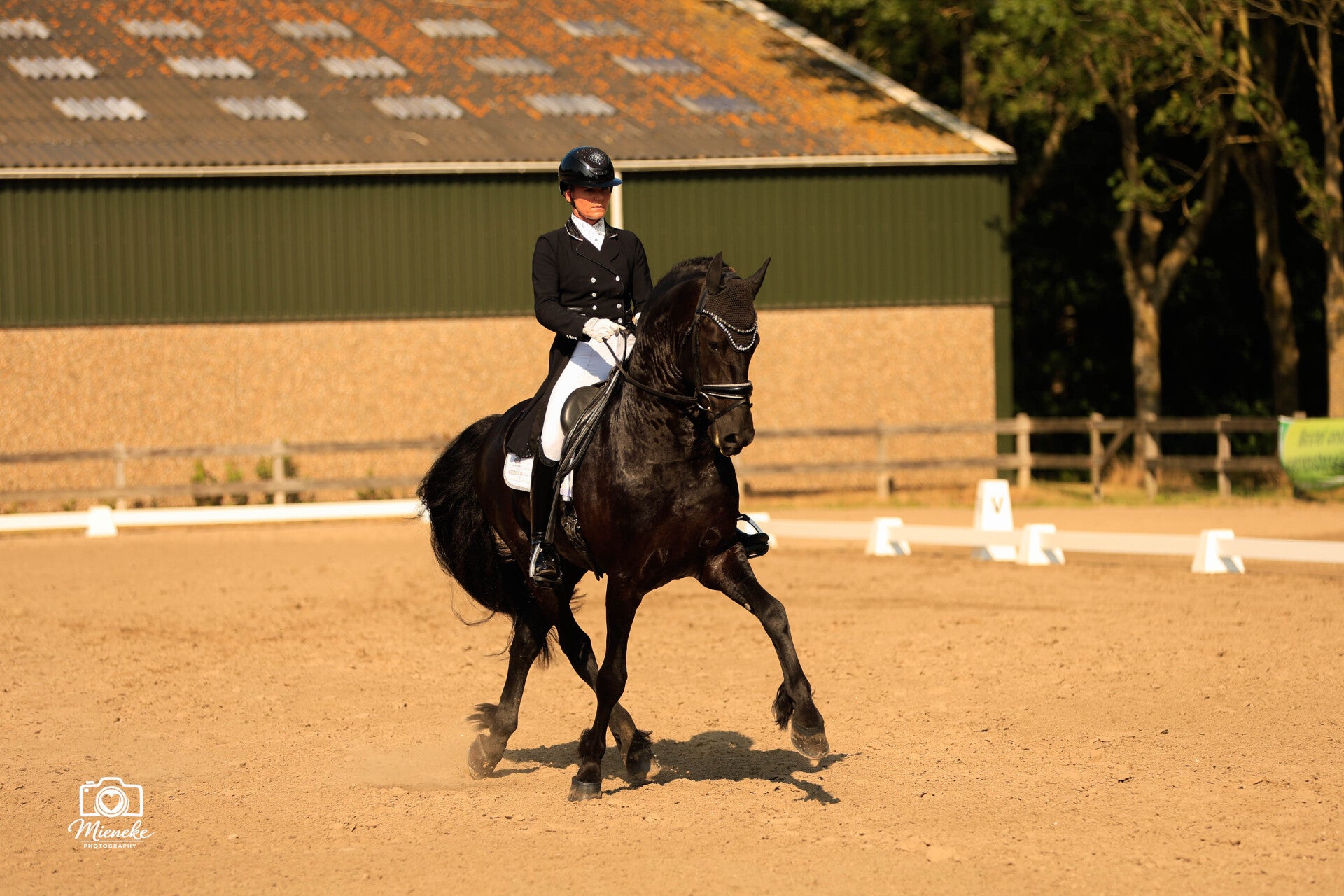 Fries paard op subtop wedstrijd