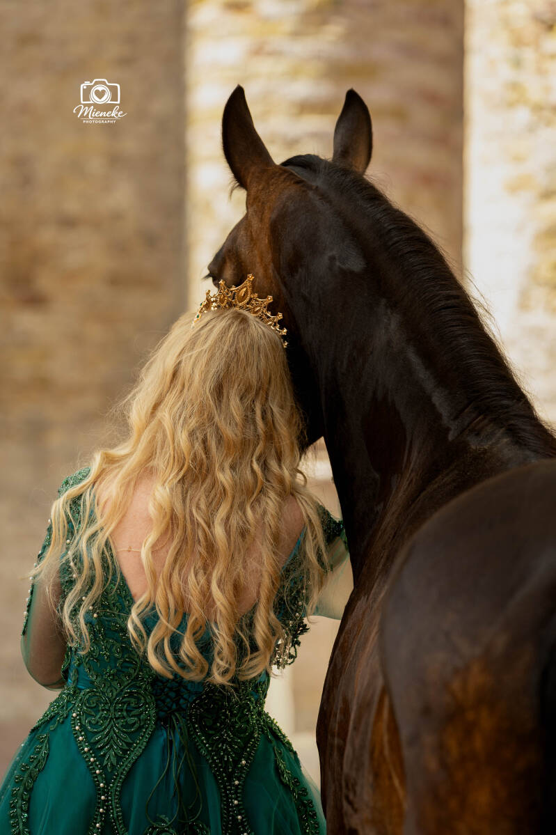 Paarden fotografie Broerekerk Bolsward