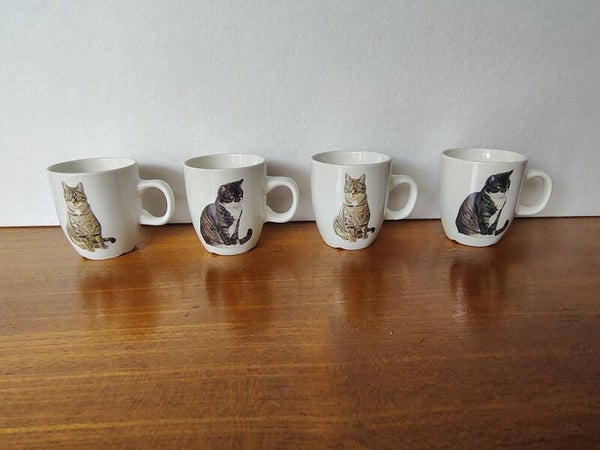 Francien katten kopjes set van 4