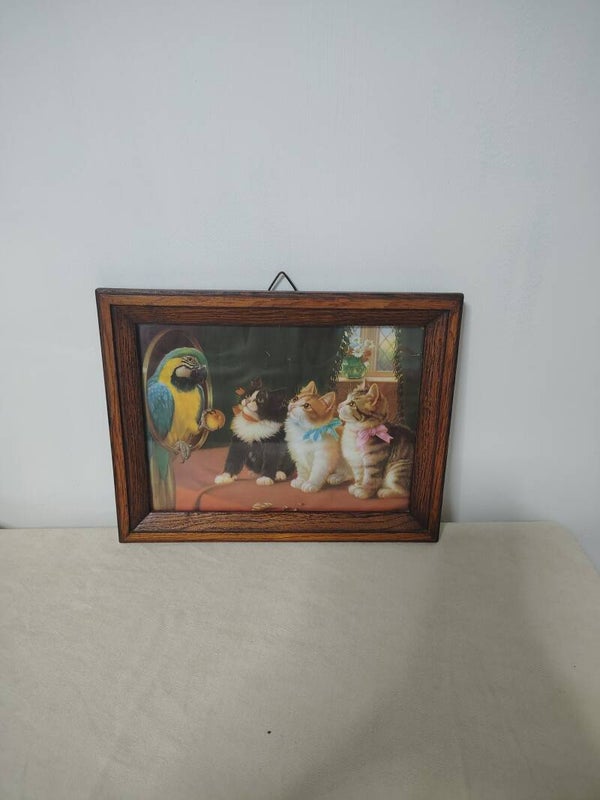 Katten op les bij de papegaai 🦜🐱 – heerlijk nostalgisch vintage wandplaatje  Hoe leuk is deze? 😍