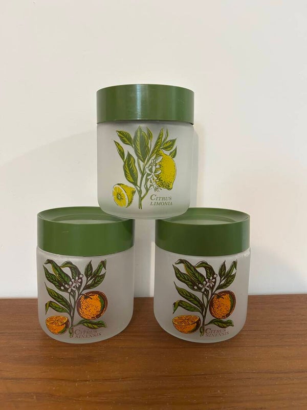 (3) vintage elletipi bewaarpotten botanisch