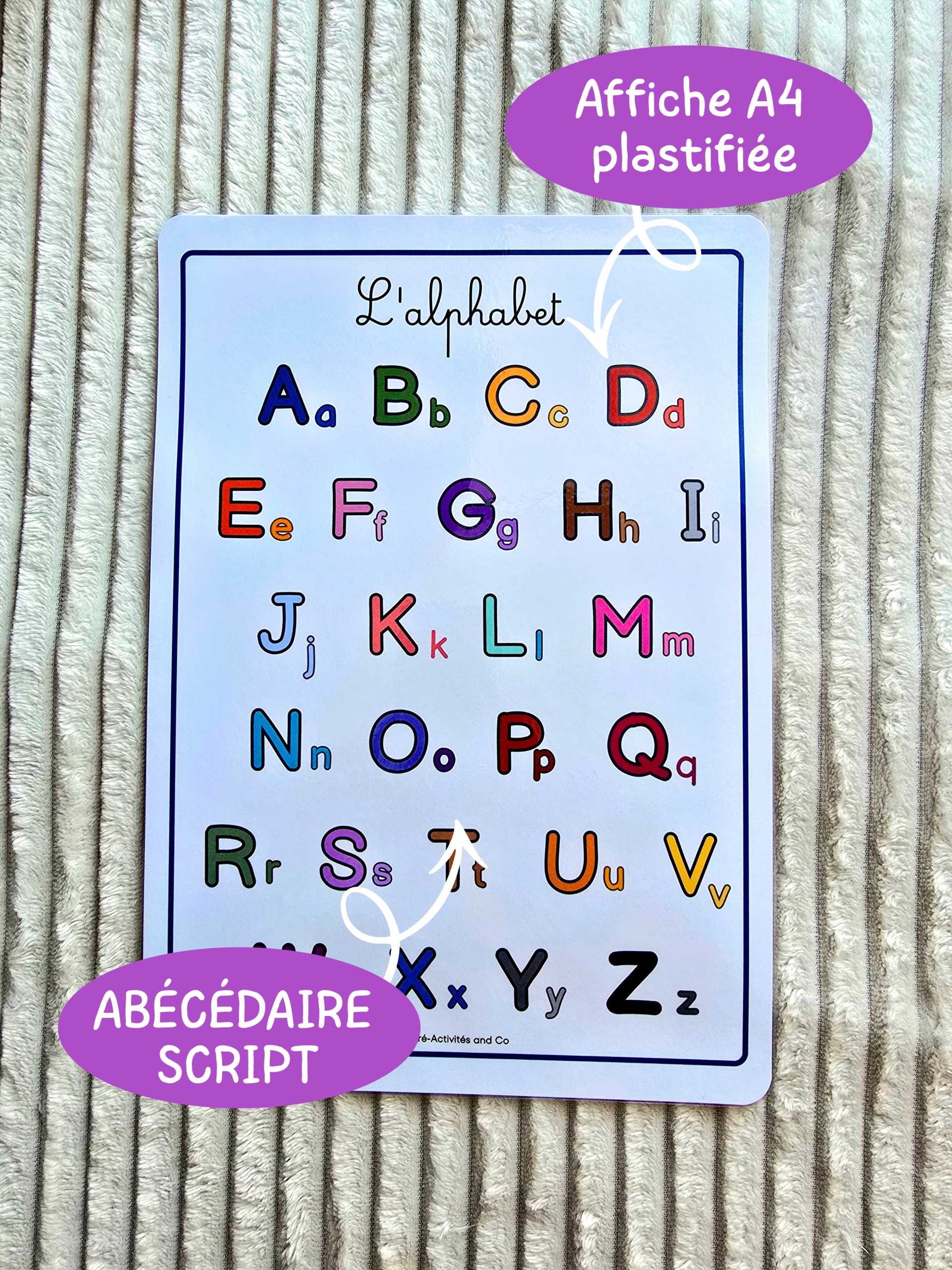 Affiche - Abécédaire script