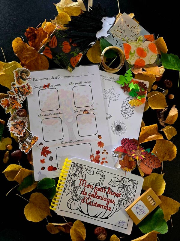 BOX AUTOMNE 2025