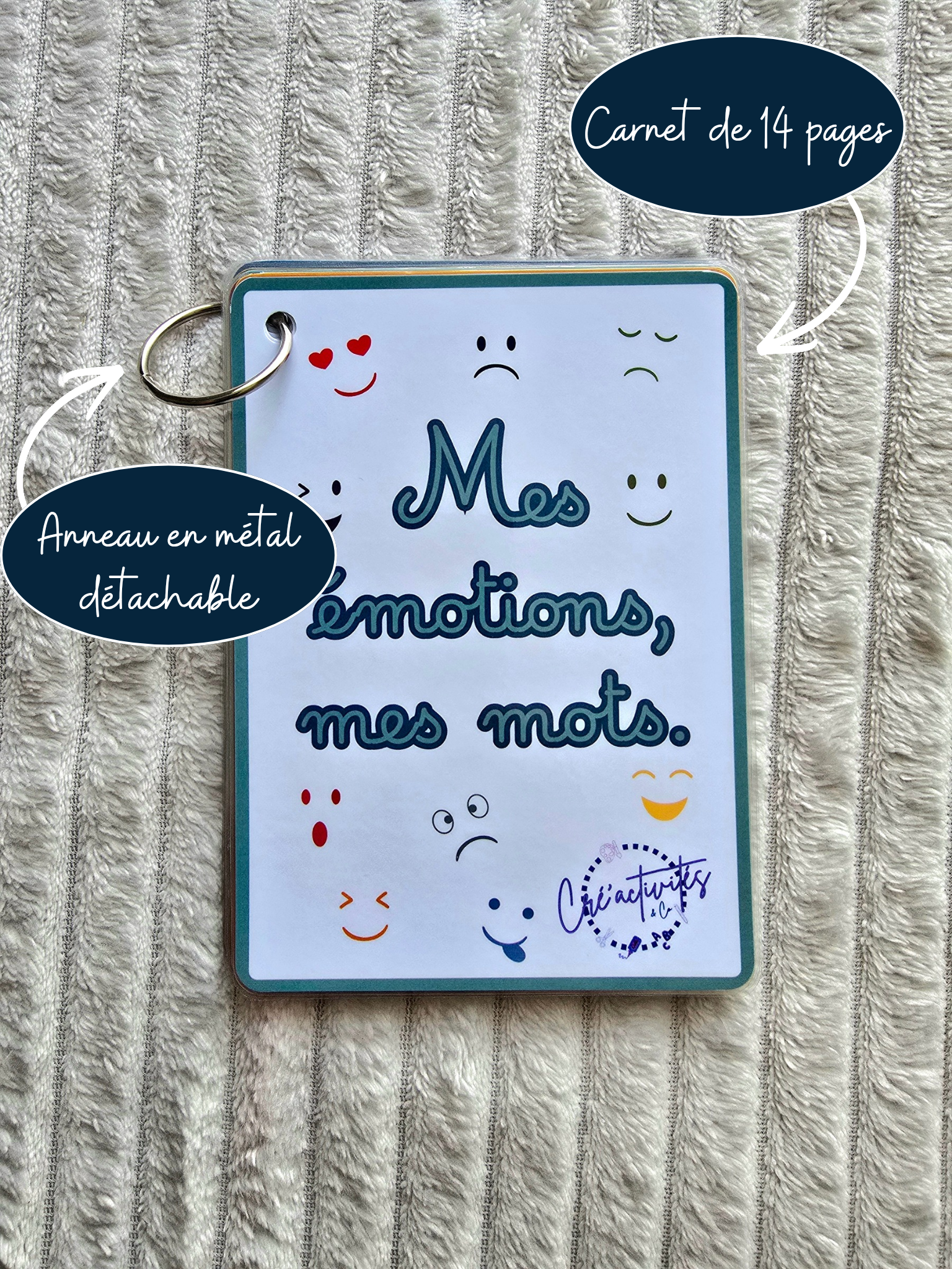 MES ÉMOTIONS, MES MOTS