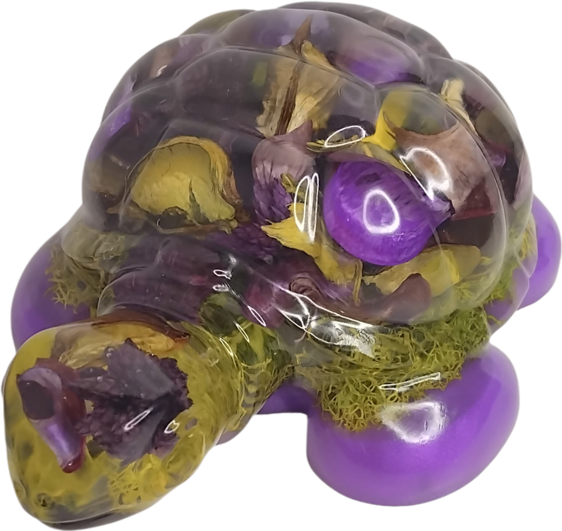 Tortue végétale violette