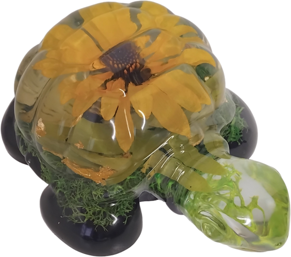 Tortue végétale Tournesol 🌻