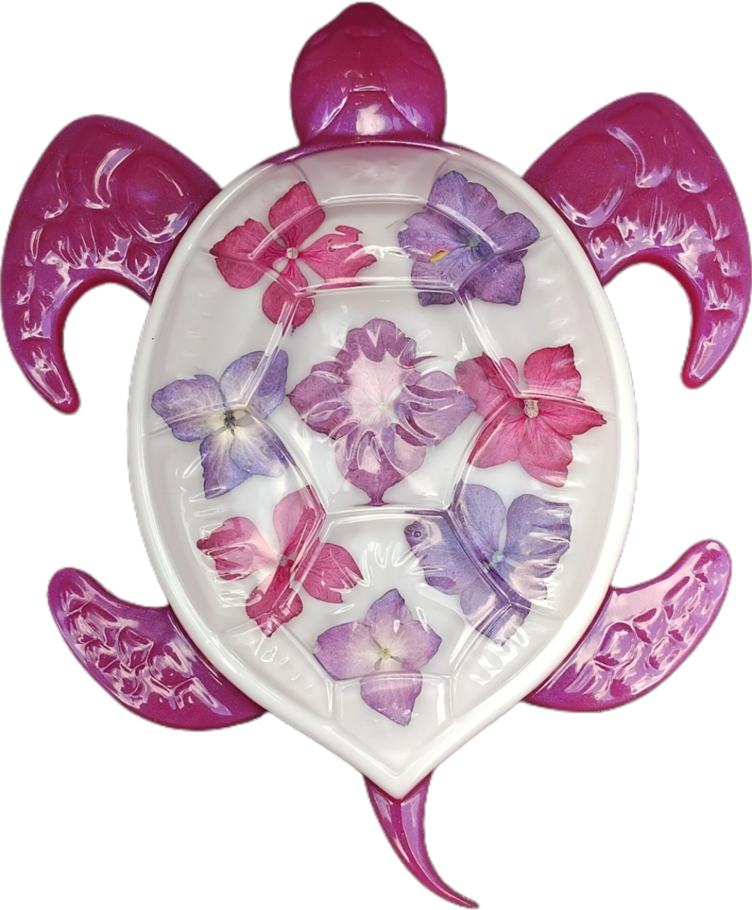 Tortue hortensias rose