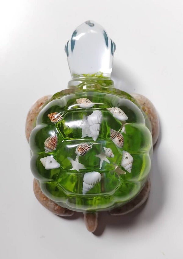 Tortue mer turquoise