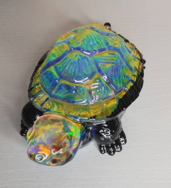 Tortue (grande) holographique