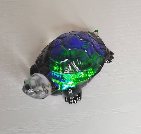Tortue (petite) holographique
