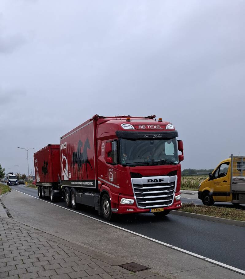DAF-truck op weg in de Brainport-regio.
