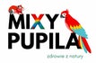 MIXYPUPILA