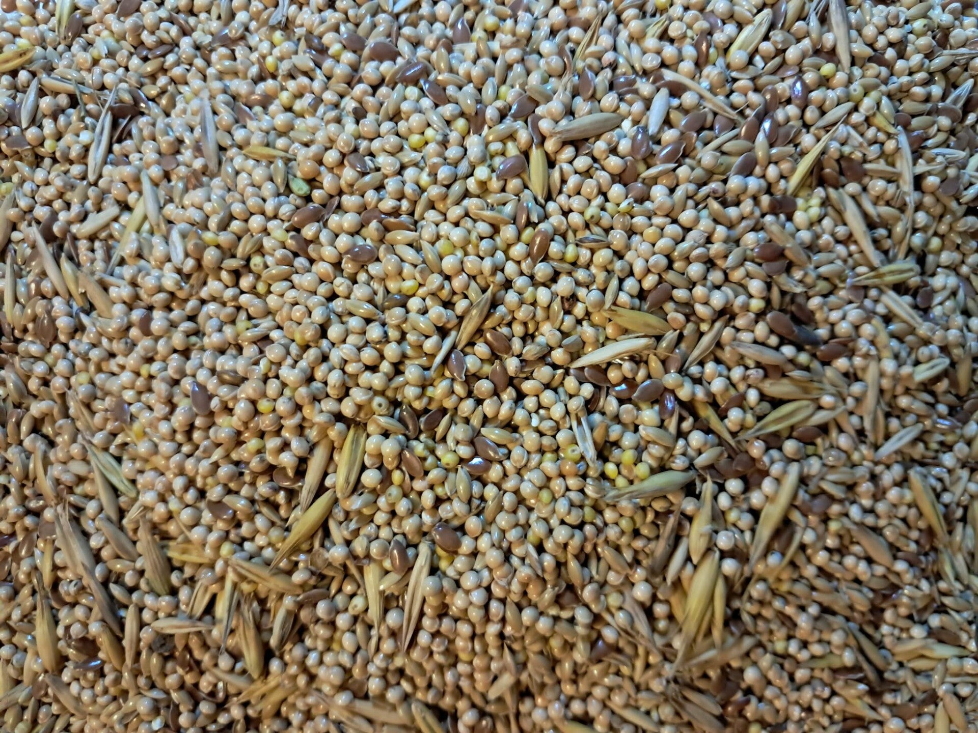 Mieszanka MixyPapuga 1kg