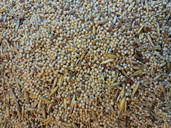 Mieszanka MixyPapuga 1kg