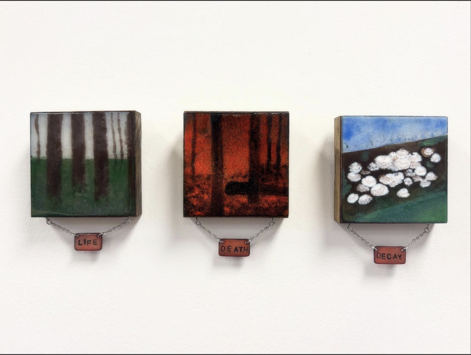 'Life, Death, and Decay'