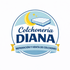 Colchoneria DIANA