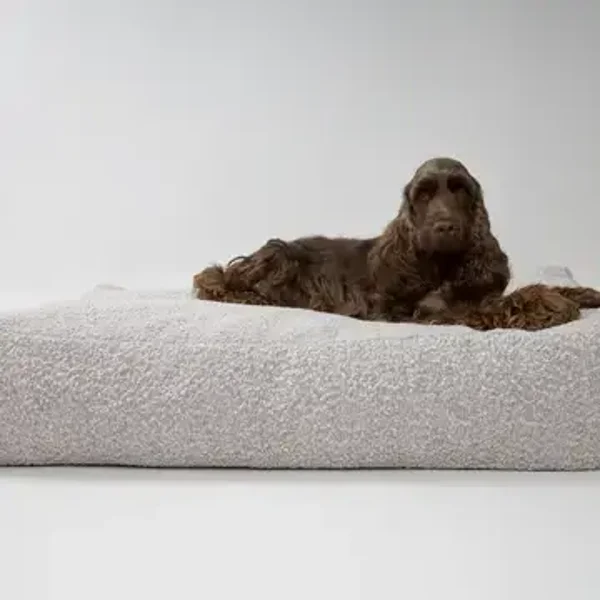 BILLY Bouclé hondenkussen taupe