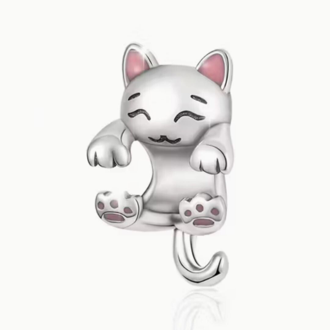 Charm Gato