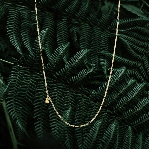 Collar oso para dije