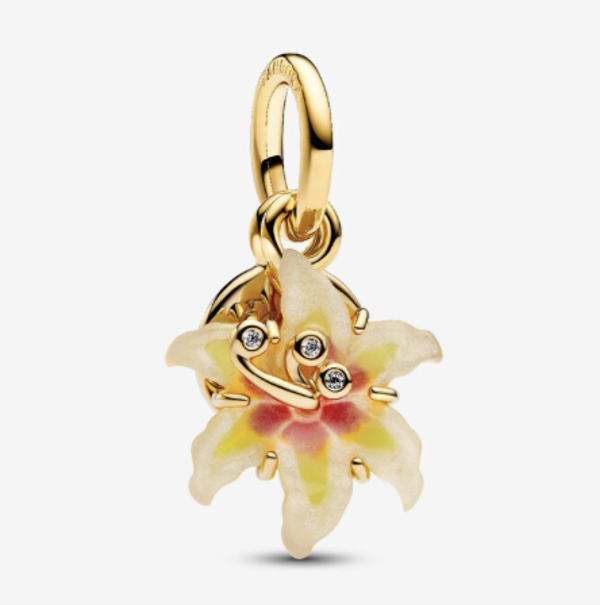 Charm Orquidea