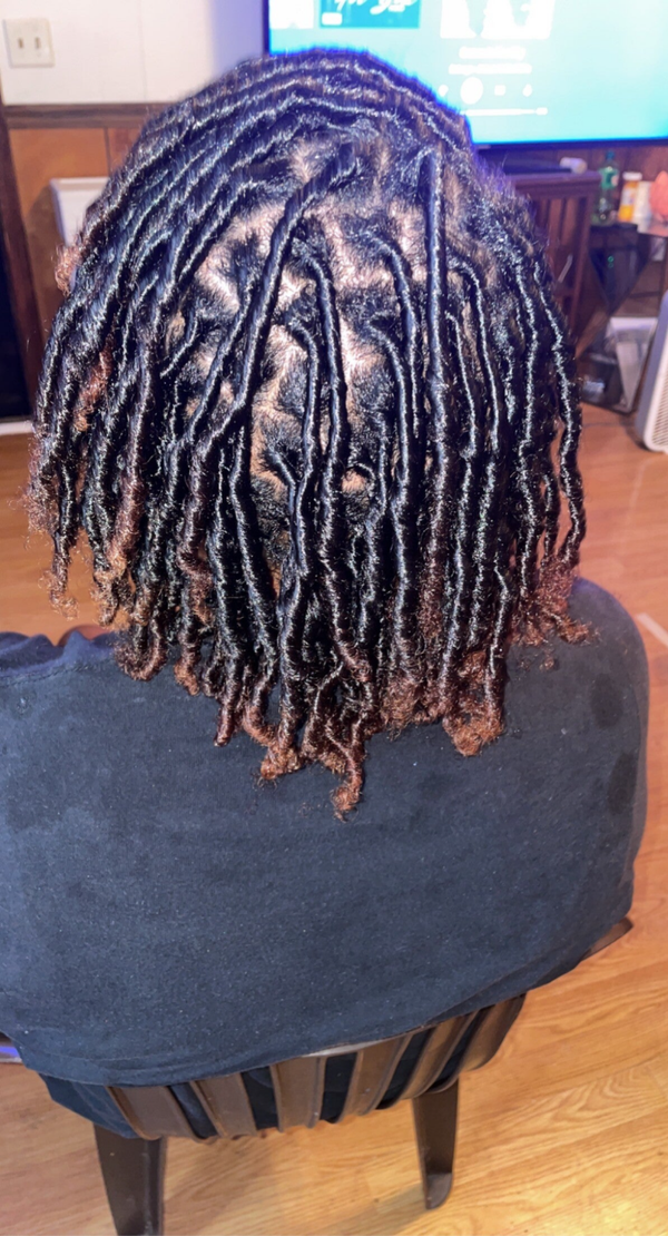 Adult Starter Locs