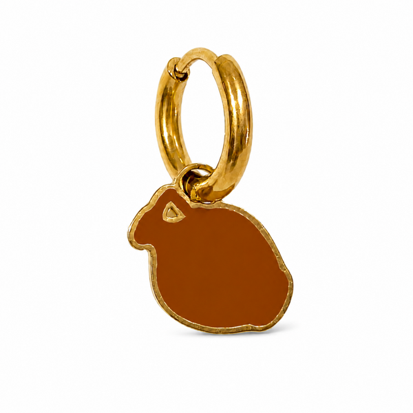 Oorbel Kruik | goud