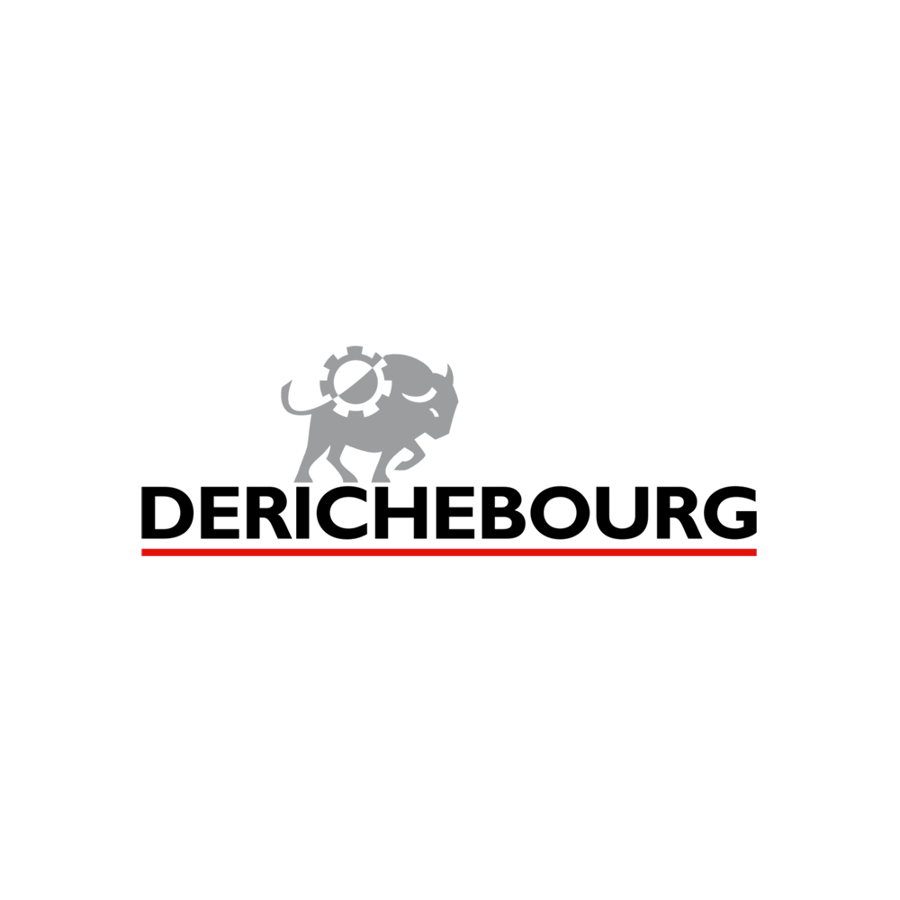 Logo Derichebourg