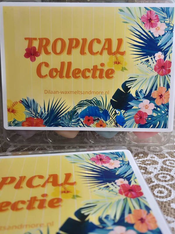 Sample Box Tropical Waxmelts