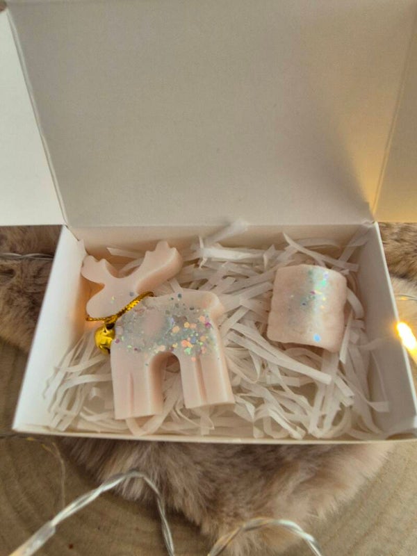 Fairy in the Snow Waxmelts (Rendier & huisje)