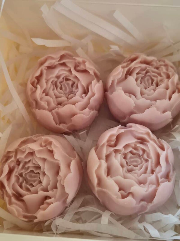 Pioen Waxmelts