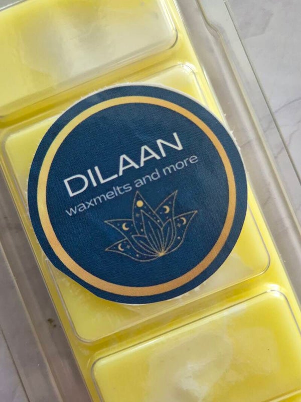 Lemon Merinque Pie Snapbar