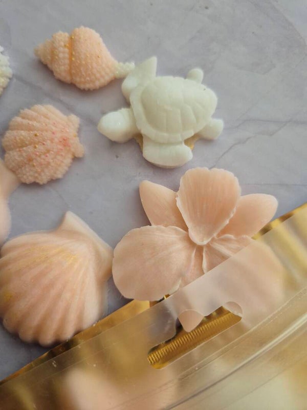 Summerwishes waxmelts (zakje)