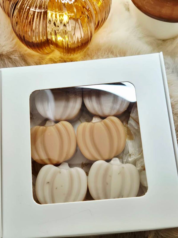 Herfst Koffie met Taart Waxmelts