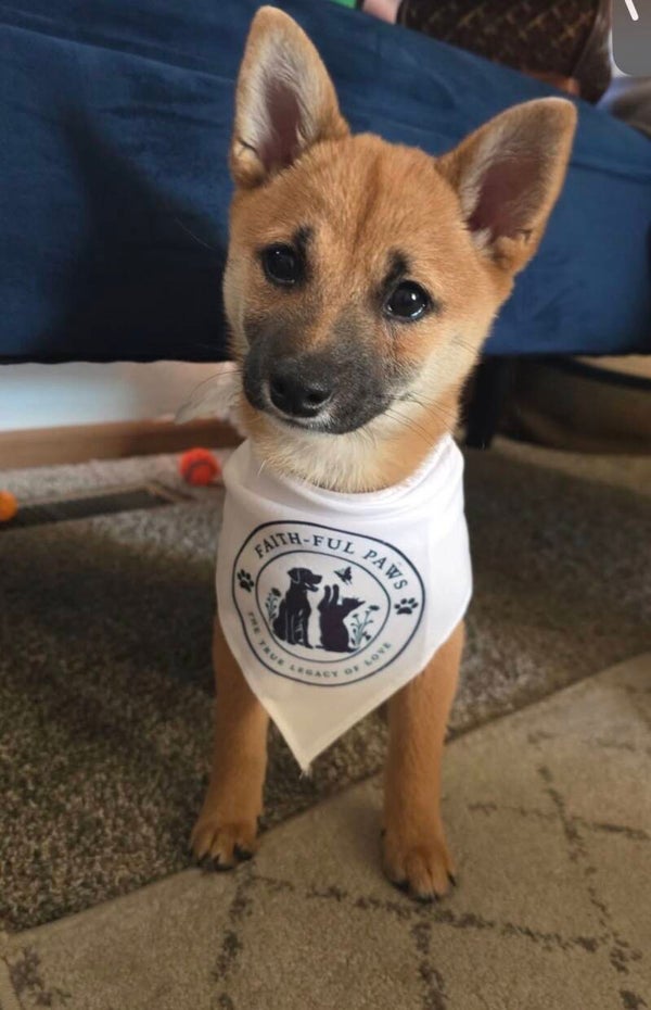 Faith-Ful Paws Legacy Pet Bandana