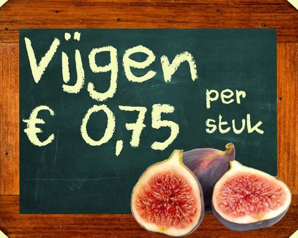 Vijgen