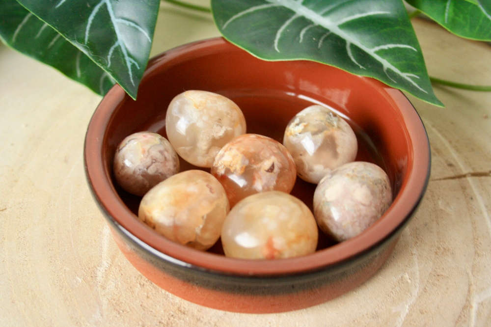 Bloemagaat - AA Kwaliteit - Bollen (klein)