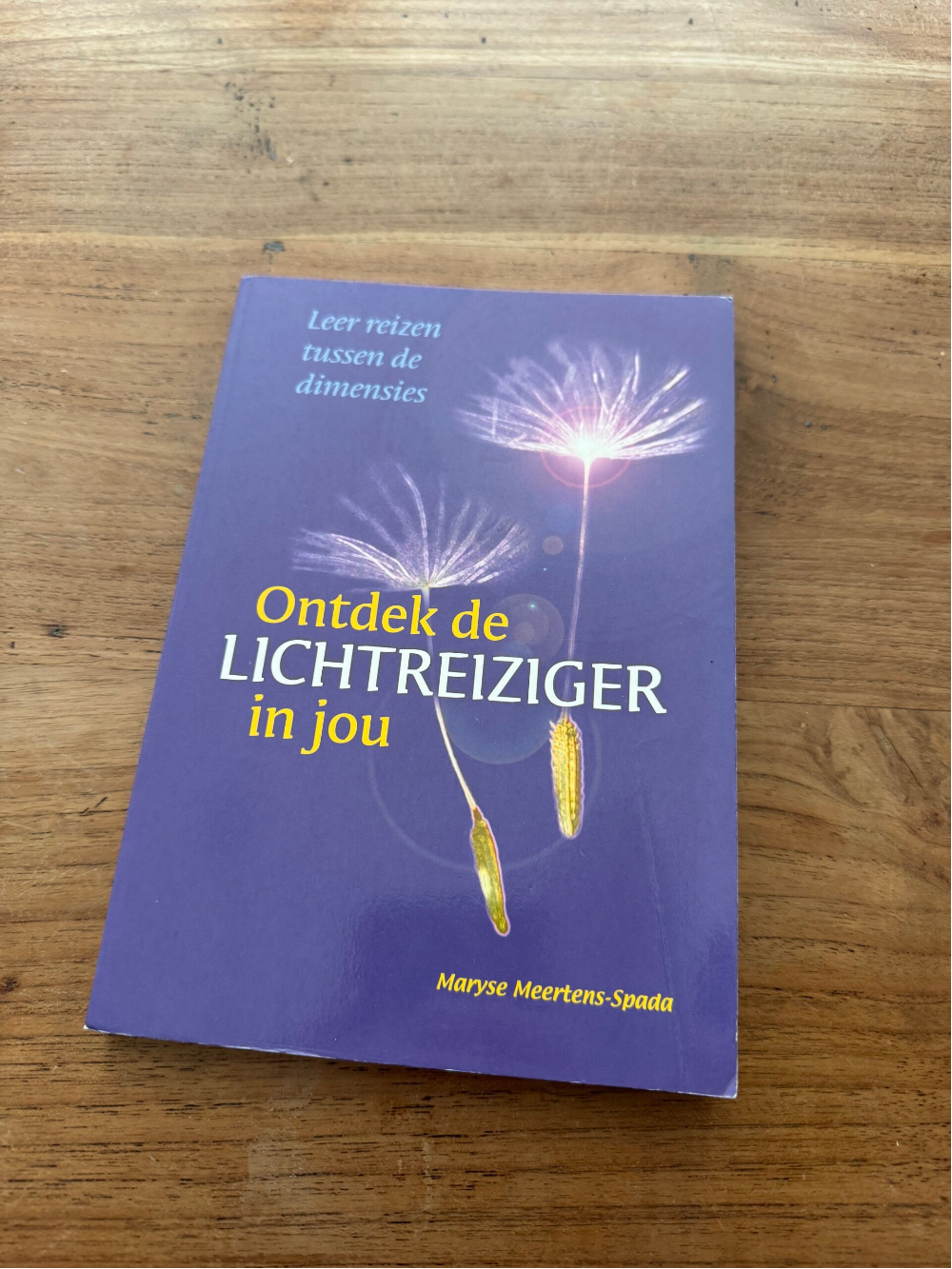 Ontdek De Lichtreiziger In Jezelf - Maryse Meertens - Spada