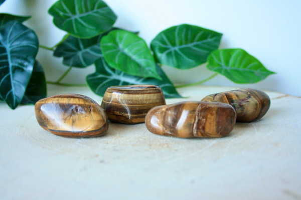 Tijgeroog Trommelsteen - A Kwaliteit - (4 - 6 cm)