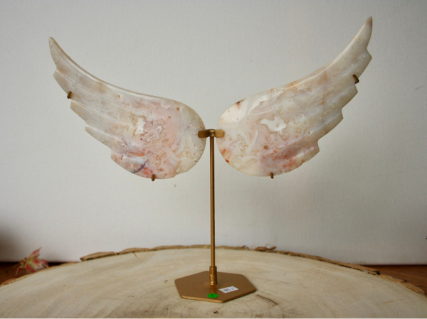 Chalcedoon - Vleugels