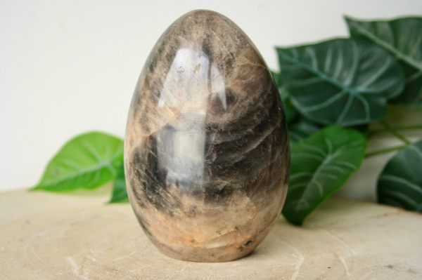 Zwarte Maansteen Sculptuur