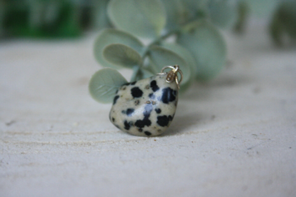 Edelsteen Hanger van Dalmatiër Jaspis