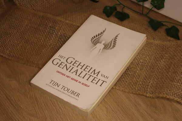 Het geheim van genialiteit - Tijn Touber