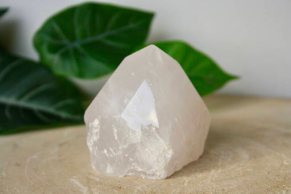 Polished Rozenkwarts Punt