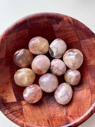 Bloemagaat - AA Kwaliteit - Bollen (klein)