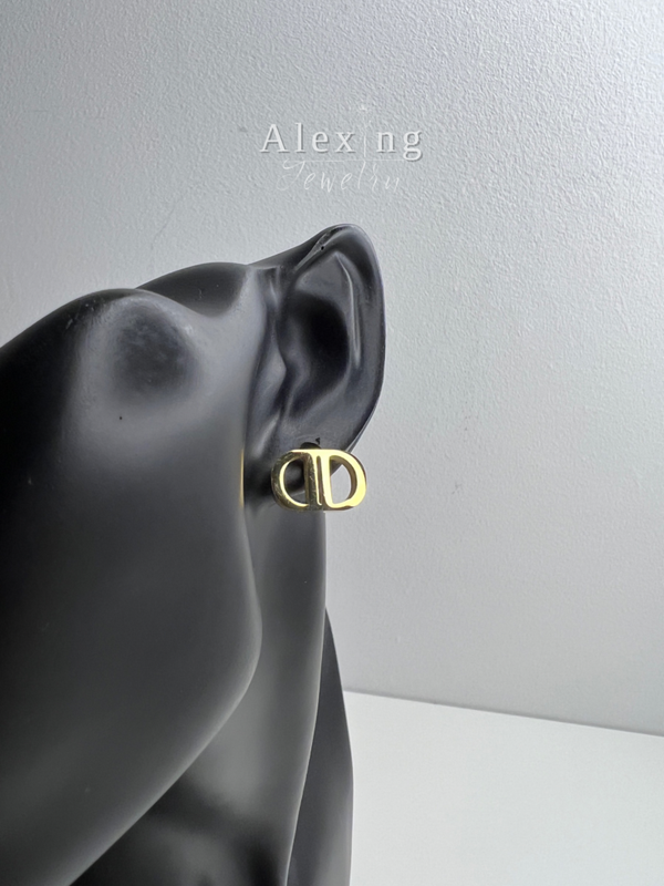 „ CD Minimalism „ Earrings