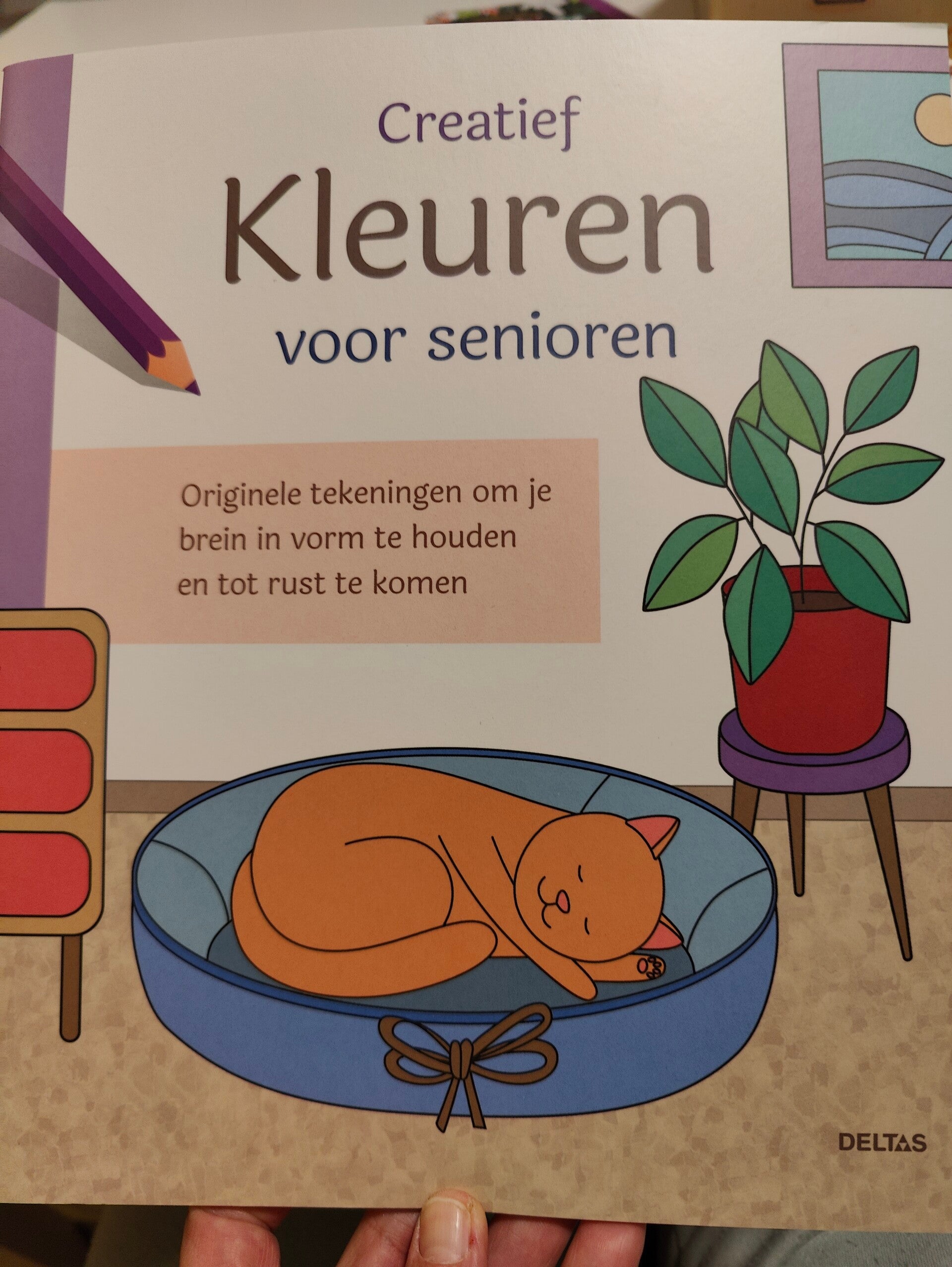 Kleuren voor senioren