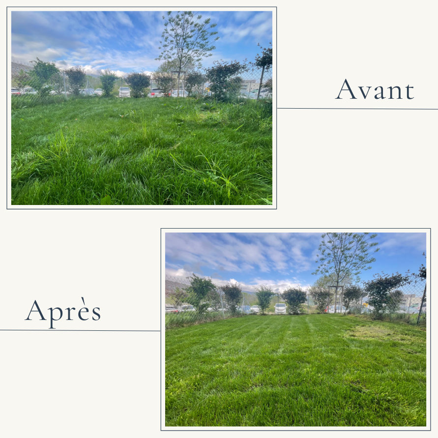 Avant après tonte de pelouse et entretien de jardin en copropriété à Cognin près de Chambéry par EXTEVIA jardinier.