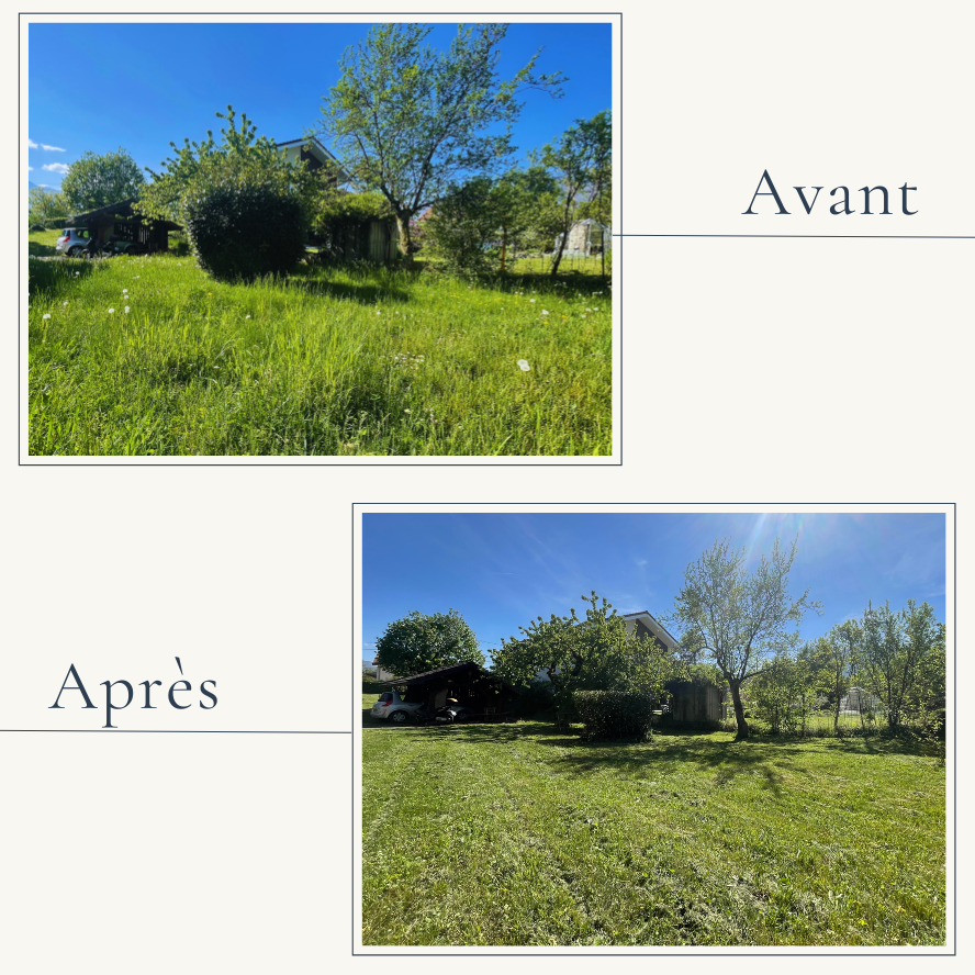 Avant après tonte de pelouse et entretien de jardin en copropriété à Cognin près de Chambéry par EXTEVIA jardinier.